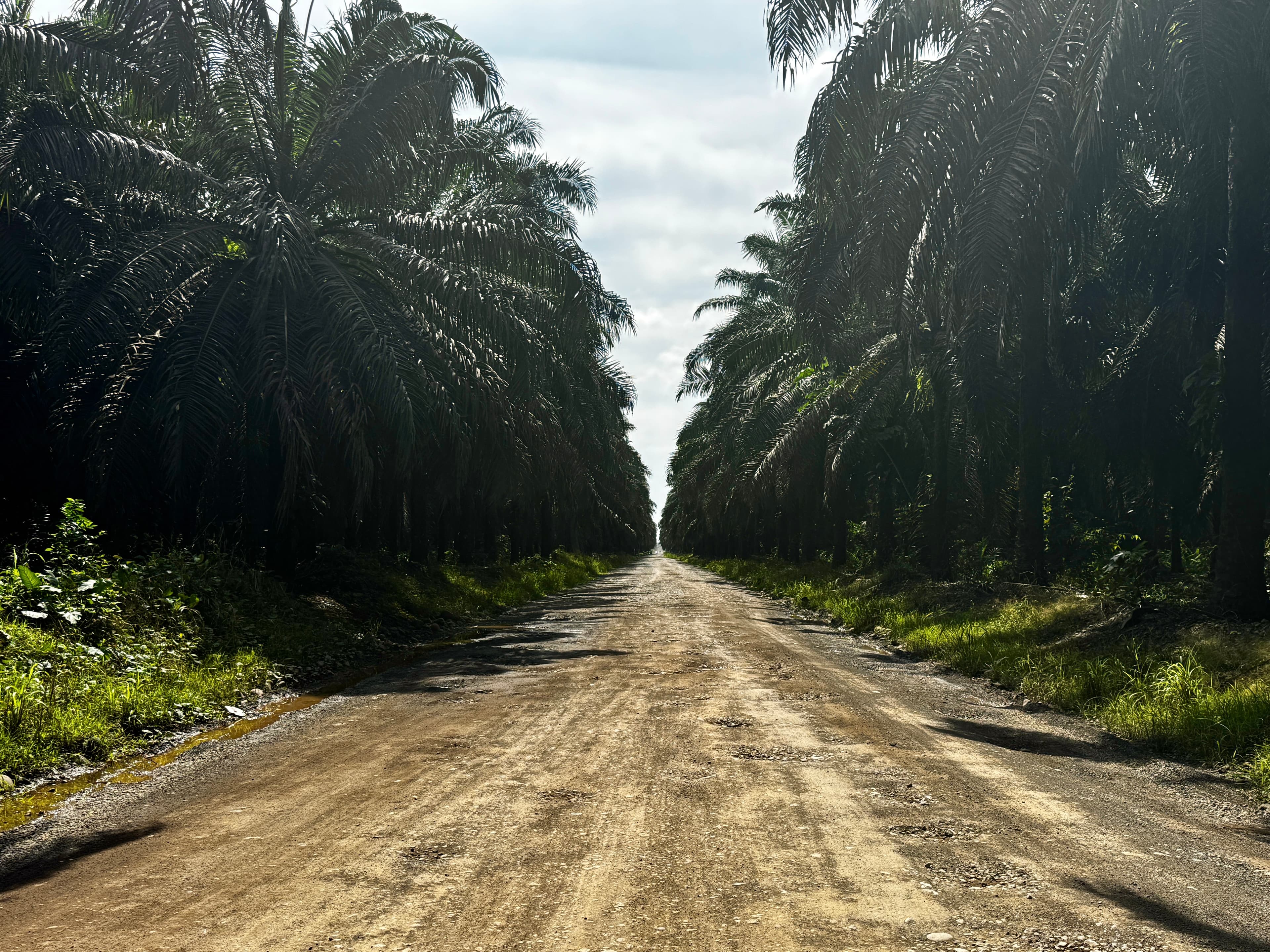Travel photograph of scenery in Costa Rica