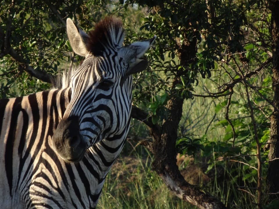 Travel photograph from South Africa
